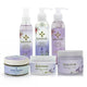 Lavender Full Set 6 Pcs